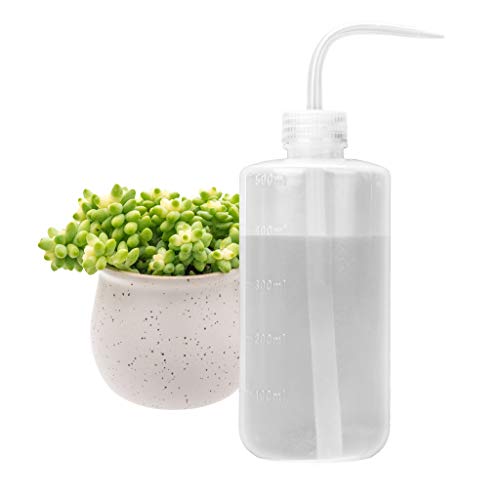 Irrigazione da 500 ml, con beccuccio O-ring per piante succulente cactus plastica Squeeze Water can